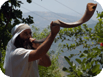 Ram's Horn - ����